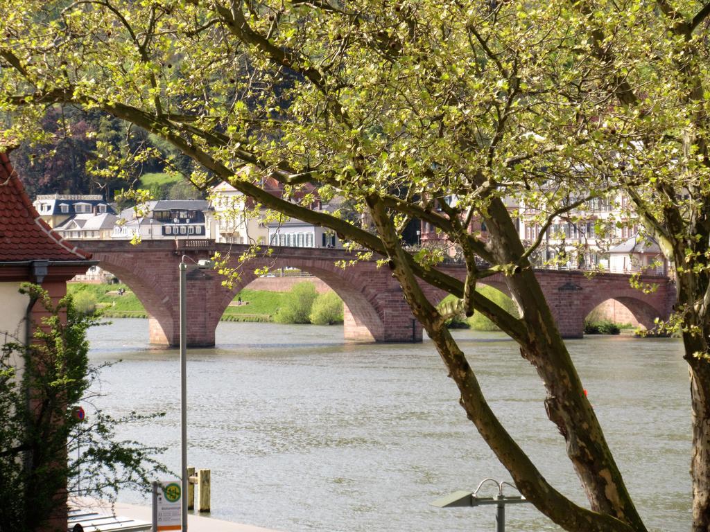 Ferienwohnungen Neckarblick - Heidelberg Altstadt Exterior foto
